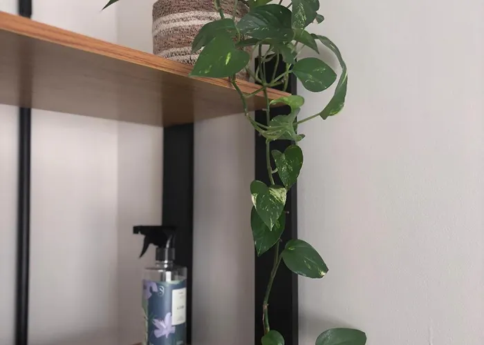 Apto No Centro De Apartamento